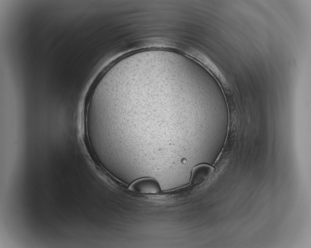 X0000102471132200808151422