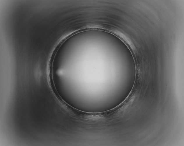 X0000102471133200808151422