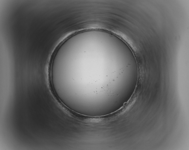 X0000102471134200808151422