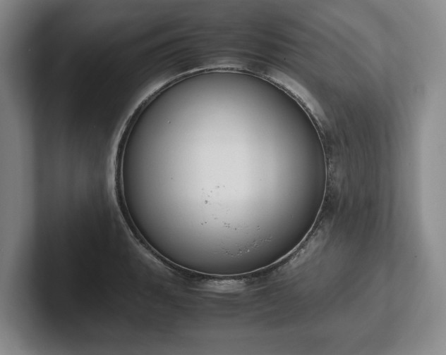X0000102471135200808151422