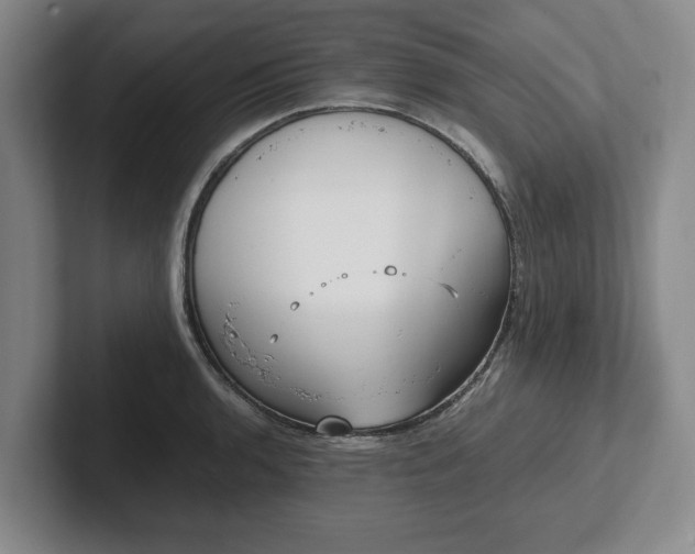X0000102471136200808151422