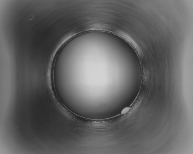 X0000102471138200808151422