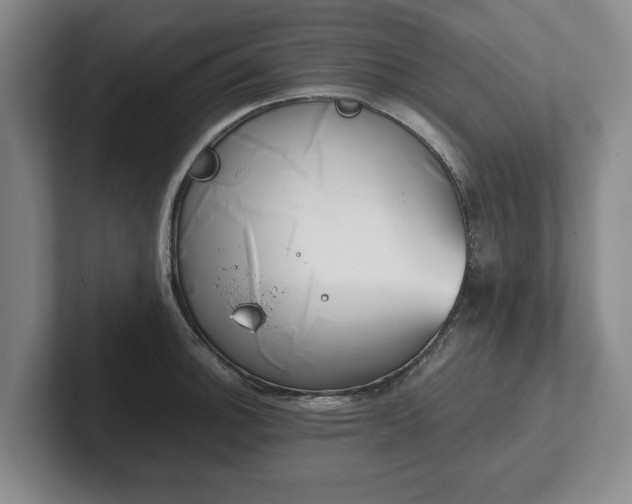 X0000102471140200808151423
