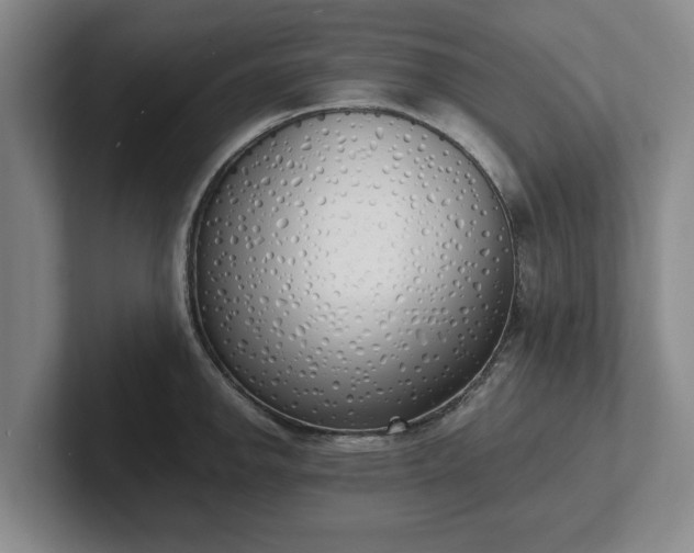 X0000102471142200808151423