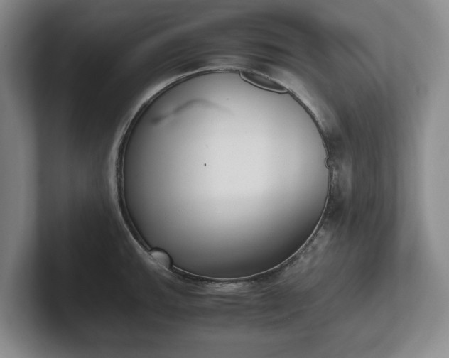 X0000102471143200808151423