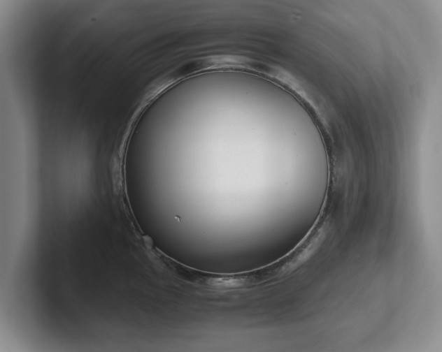 X0000102471145200808151423
