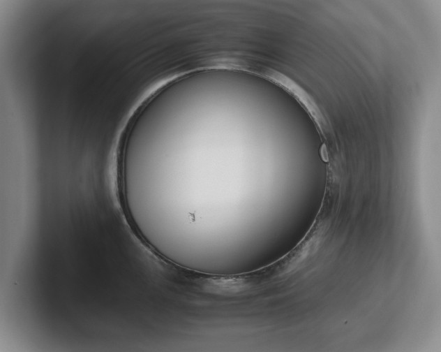 X0000102471147200808151423