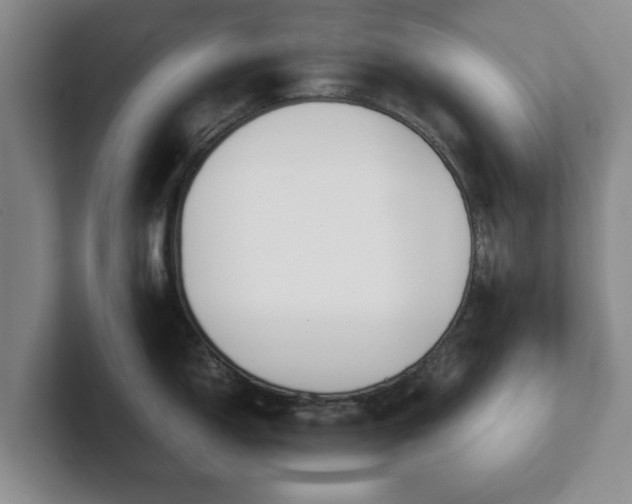 X0000102471150200808151423