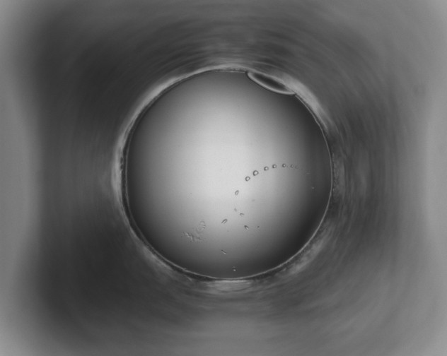 X0000102471151200808151423
