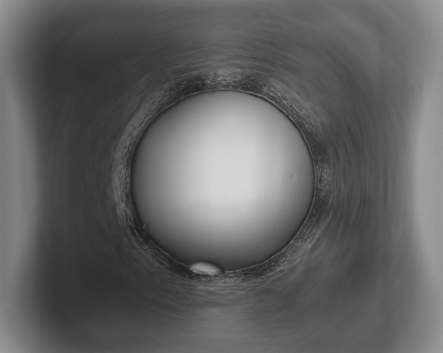 X0000102471153200808151422