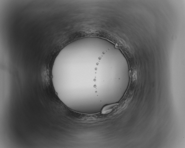 X0000102471156200808151422