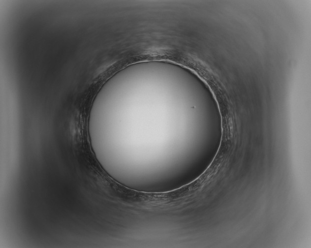 X0000102471158200808151422