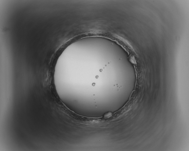 X0000102471160200808151422
