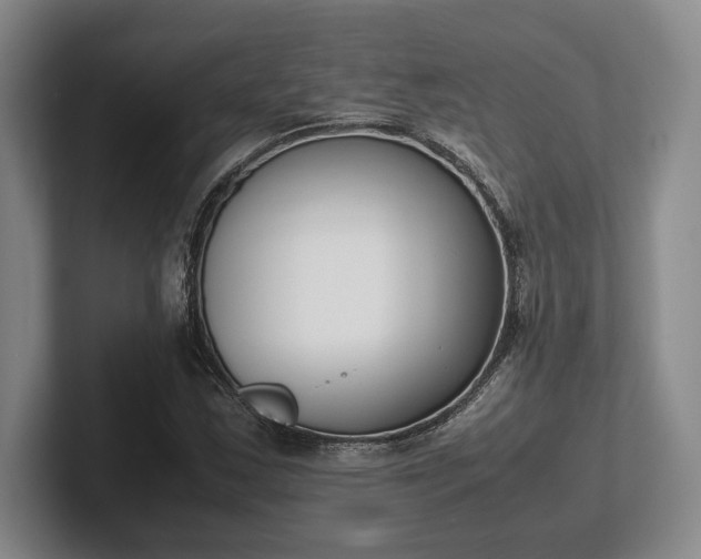 X0000102471163200808151422