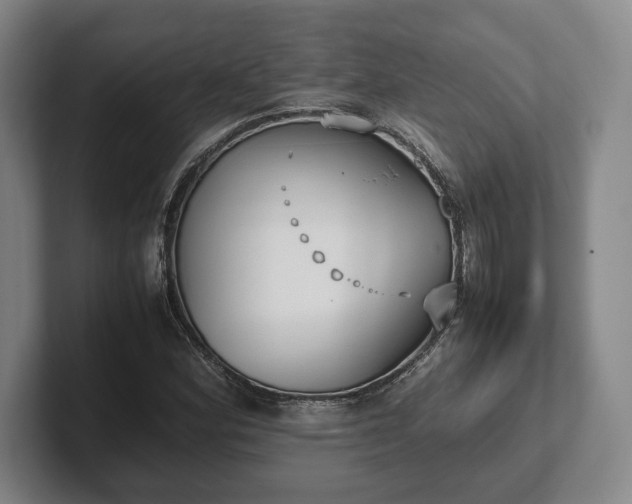 X0000102471164200808151422
