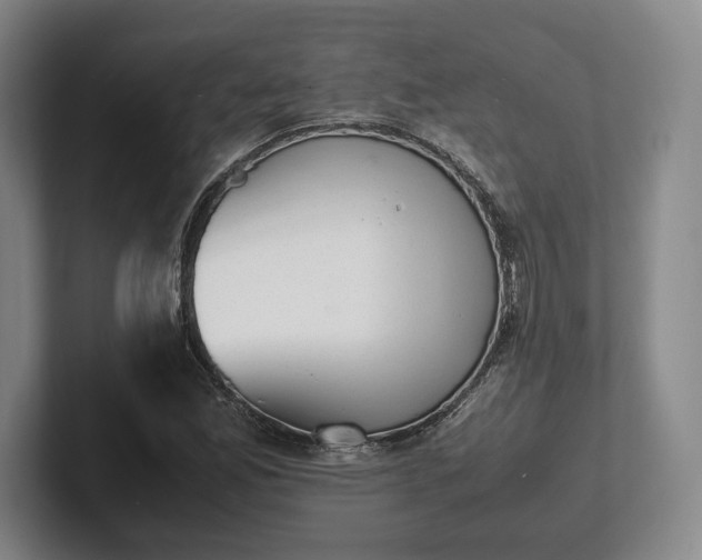 X0000102471165200808151422
