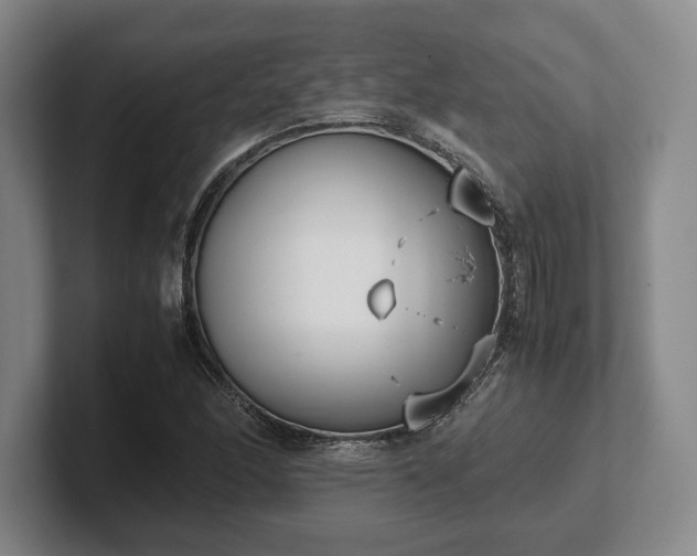 X0000102471166200808151422
