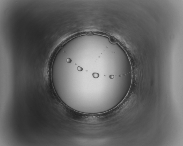 X0000102471167200808151422