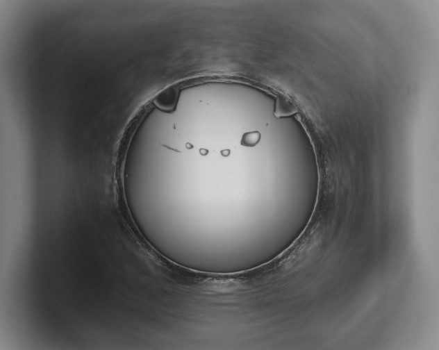 X0000102471168200808151422