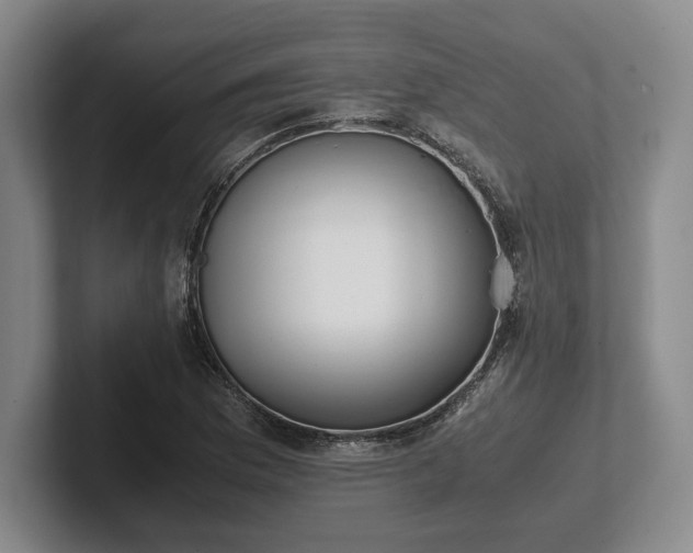 X0000102471169200808151422