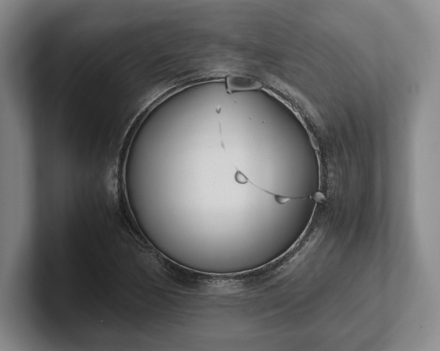 X0000102471170200808151422
