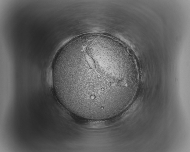 X0000102471171200808151422