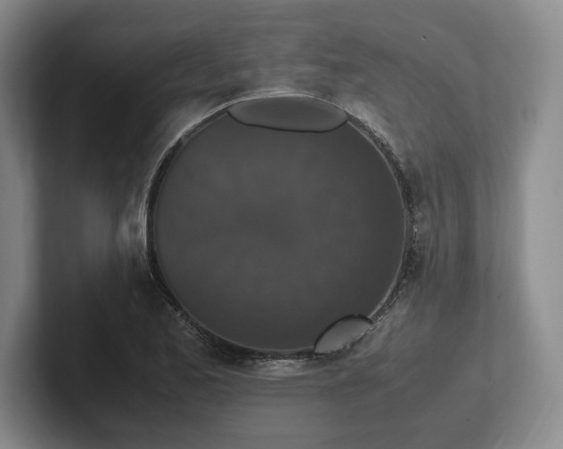 X0000102471173200808151422