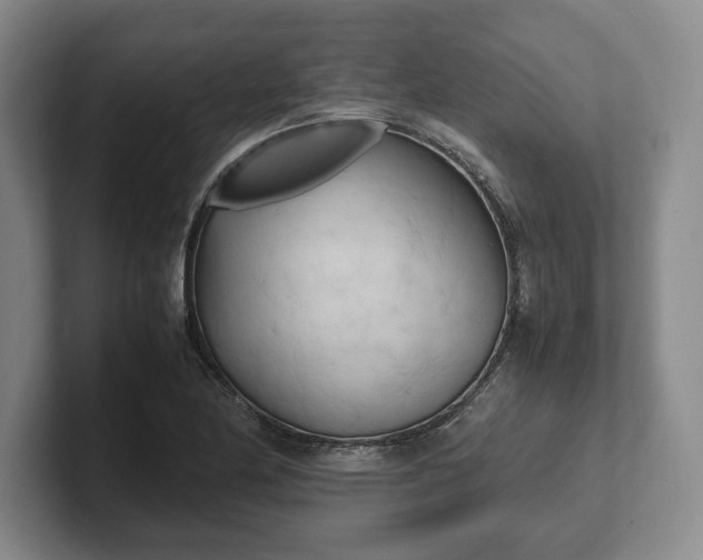 X0000102471174200808151422