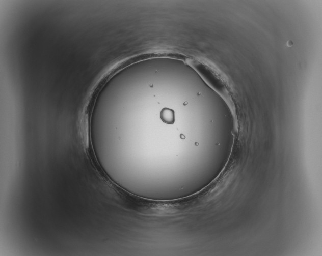 X0000102471175200808151422