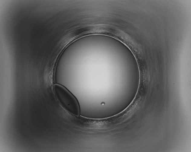 X0000102471177200808151422
