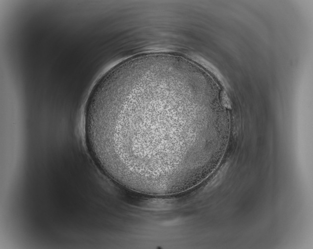 X0000102471179200808151422