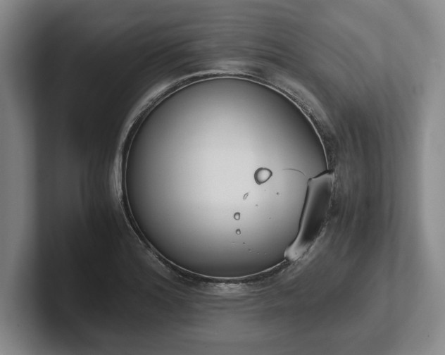 X0000102471180200808151422