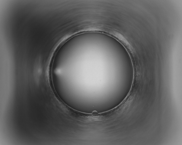 X0000102471181200808151422