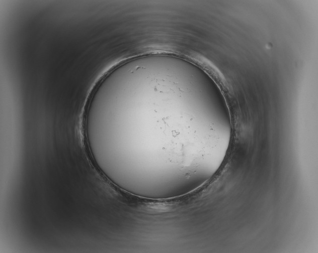 X0000102471182200808151422