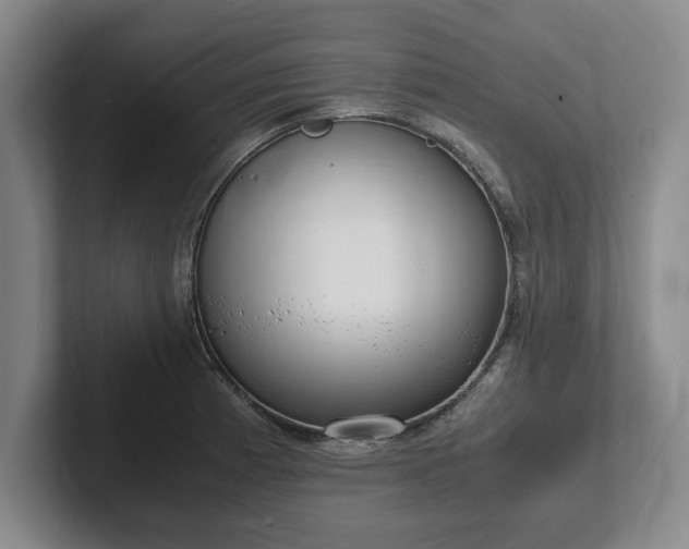 X0000102471185200808151422