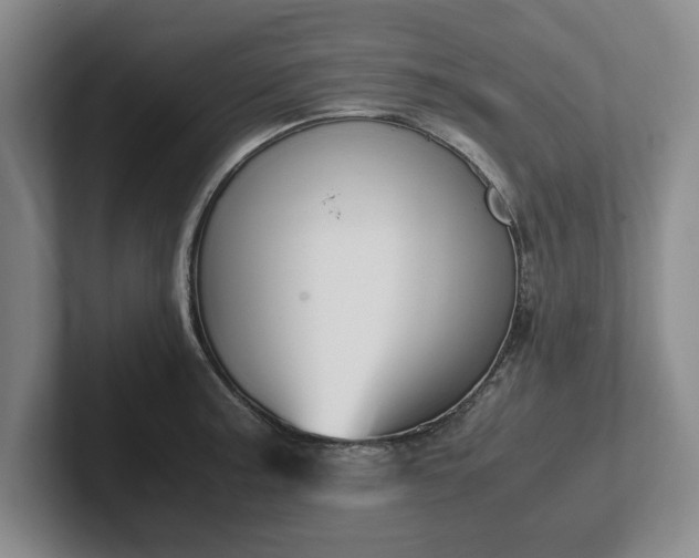 X0000102471187200808151422