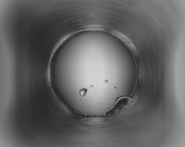 X0000102471188200808151422