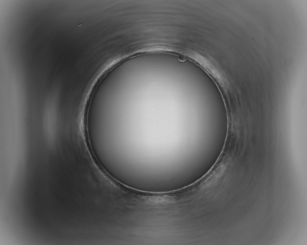 X0000102471189200808151422