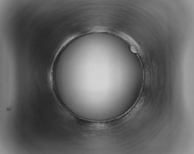 X0000102471190200808151422