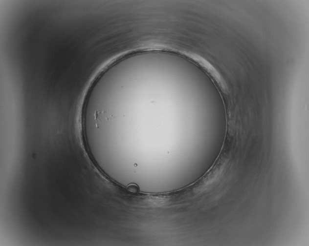 X0000102471191200808151422
