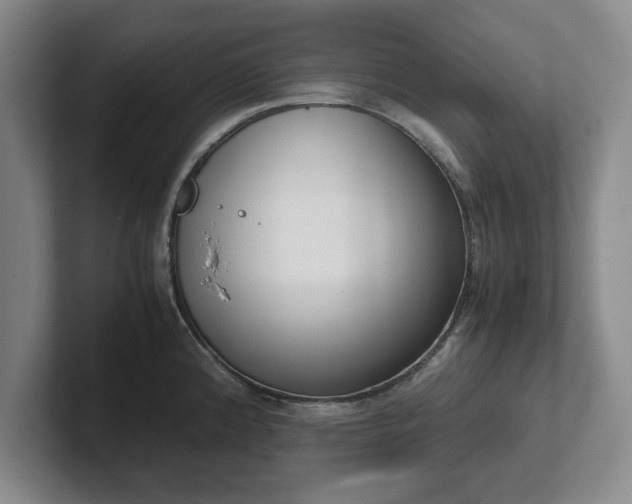 X0000102471192200808151422