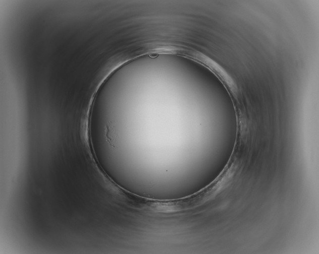 X0000102471194200808151422