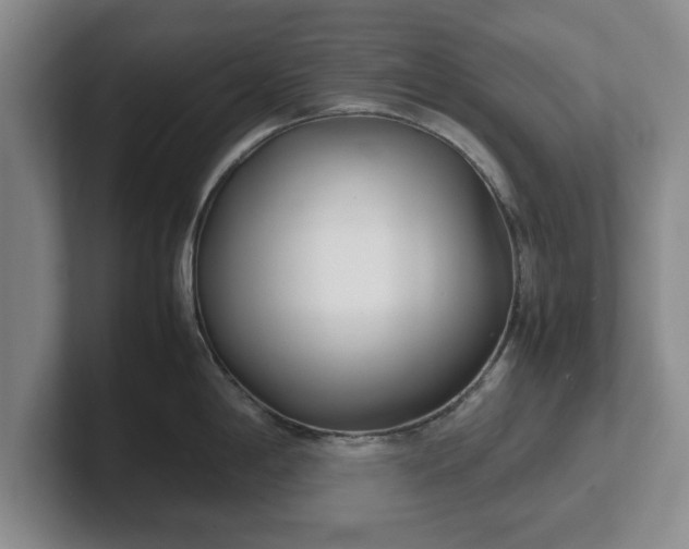 X0000102471198200808151421