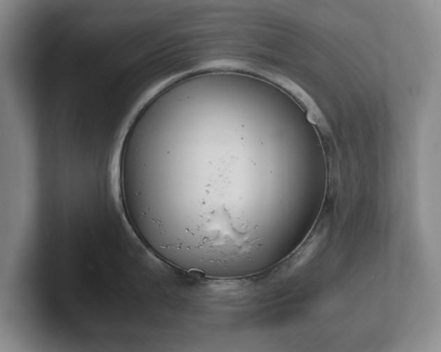 X0000102471199200808151421