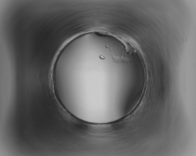 X0000102471200200808151421