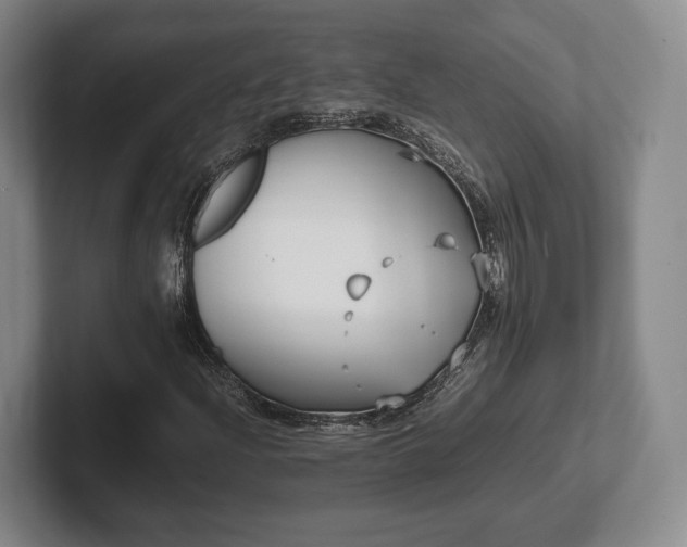 X0000102471204200808151421
