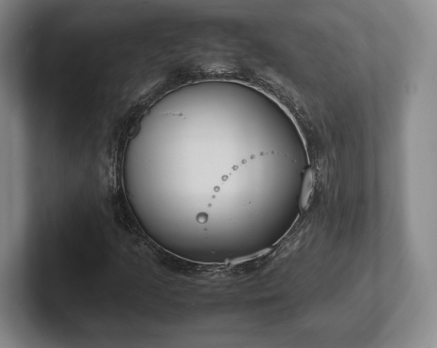 X0000102471205200808151421