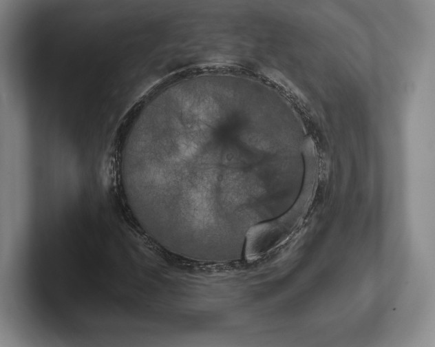 X0000102471208200808151421