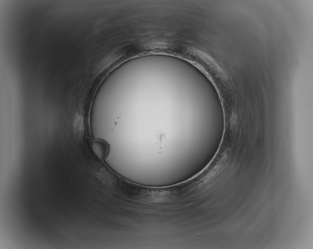X0000102471209200808151421