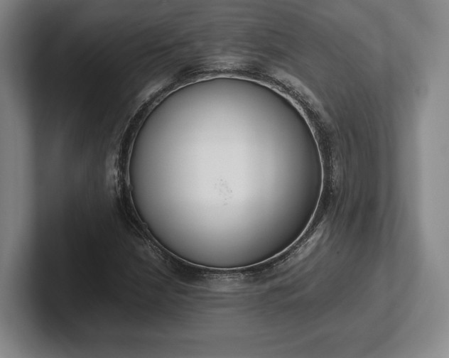 X0000102471210200808151421
